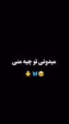 کلیپ عاشقانه مذهبی: میدونی تو چیه منی؟