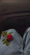 نیمه ی گمشدمی‌‌......))❤️‍🩹🫠💖
