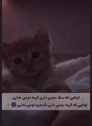 كــــســ🤝🏻ــى كه گربـــ🐈ـــه دوســ🤍ــت داره …..