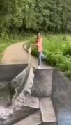فک کن سگه بعد از دیدن کاره این مرد چه واکنشی نشون میده😅😅😅😅😅