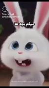 بچه ها شما از این بیشعورها دارید مث من؟ 😅😅😅😅