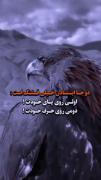 پیام انگیزشی خوداتکایی و پایبندی به کلام: ویدئویی با تصویر عقاب