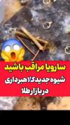 فکر کردم لازمه بدونید پستش کردم 🙂