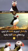 رفیقا منوووو😂شمام ازین رفیقا دارید؟ 😂😂😂😂