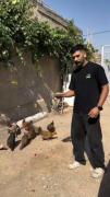 لحظات بامزه و شوخی‌های خانوادگی در فضای روستایی