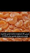 و همچنین مرسی که همیشه تو کیف بچه ها مدرسه هسی 😂😂😂😂