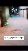 این سگ مگه جزو بهترین سگا نیست؟! پس چرا نتونست تشخیص بده؟! 😐🤔🤣🤣