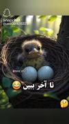 مامانشون ولشون کرده، فقط ببینید😂🐥