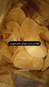 وقتی گربه بامزه شما التماس می‌کند خوراکی‌های خوشمزه را بدون او نخورید!