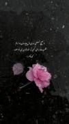دلنوشته‌ای غمگین: ما هیچ تسلطی روی قلبمان نداریم