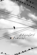 کلیپ غمگین درباره اعتماد با موزیک ترکی