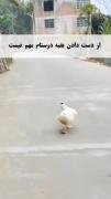 بله اون خیلی چیزا از من می‌داند 😩