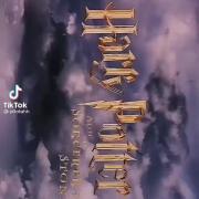 کل فیلم هری پاتر در ۳۴ ثانیه :))