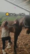 مقایسه خنده‌دار رفتار اسب با دختران و پسران در اسب‌سواری