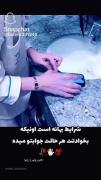 شرایط بهانه است: پیامی برای روابط عمیق و پایدار