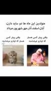 متولدین هر ماه...🤭😂خودم موافقم😂