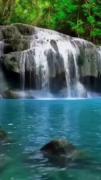 بریم ببینیم کدوم کشور برنده میشه 