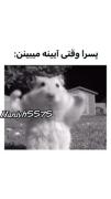 سلام *************************