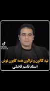 غمگین عاشقانه کلیپ قاسم ......