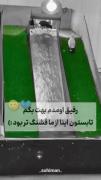 اردک های بازیگوش: سرسره آبی در تابستان