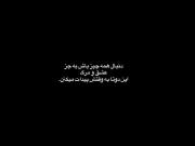 شکوفایی گل‌ها و پیامی عمیق درباره عشق و زندگی