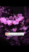 کلیپ احساسی و زیبا برای رفیق صمیمی