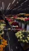 لحظه‌ای دلنشین در گلفروشی: وقتی گل‌های زیبا را می‌بینم