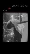 حامیم خدا را دوست دارد 🤍✨️💫🌒