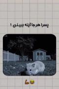 وقتی پسرا خودشون رو تو آینه می‌بینن! 🐹😂