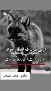 جملات تأثیرگذار درباره شرافت و ذات انسان