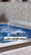 خانواده وحشی جاوید مجیدی اییی بابو
