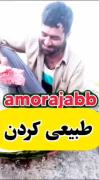 لحظات طنز و خنده دار: مبارزه کمدی با هندوانه