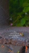 عشق به امام زمان (عج) و دوری از گناه