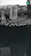 شجاعت و صلابت ثنا هاشمی؛ تحلیل خبری زن ایرانی در بحران