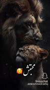 توصیف زیبایی‌های عشق: وقتی دلبر جان تمام جهانم می‌شود