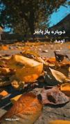 حس و حال زیبای کلیپ پاییزی و زمستانی