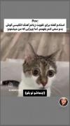 .............................. 