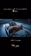 کدوم تخت خواب مال شما بود🖐🏻🧸🤫❤