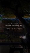 استوری غمگین حرف حق . . .