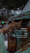 دیالوگ زیبای شازده کوچولو: هر کی دوستت داره میمونه
