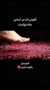 AI کیوت_هوش-مصنوعی_ترند_تیک-تاک