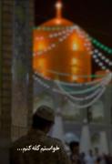 لحظاتی معنوی و آرامش‌بخش در حرم مطهر امام رضا (ع) در مشهد