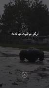 تنهایی: راز موفقیت و تحول فردی در مسیر زندگی