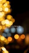 تلاوت آرامش‌بخش سوره اخلاص از قرآن کریم