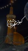 دلدادگی به امام رضا (ع): کلیپی معنوی از حرم مطهر