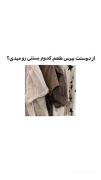 شخصیت شناسی جالب بر اساس طعم بستنی