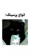 ولی پرسینگ لب یه چیز دیگستتت🫠🫠