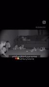 حرفی ندارم...‌‌‌‌‌‌‌‌‌‌‌‌‌‌‌‌‌‌‌