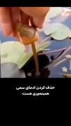 حذف کنید آدمای سمی زندگیتونو نتیجه اش میشه مثل این گل نیلوفر شکوفا ش