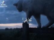 ` 𝘙𝘦𝘥 𝘮𝘰𝘰𝘯 ` ꪻ ٭‌‌‌‌‌‌‌‌‌‌‌‌‌